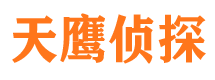 彭泽调查公司